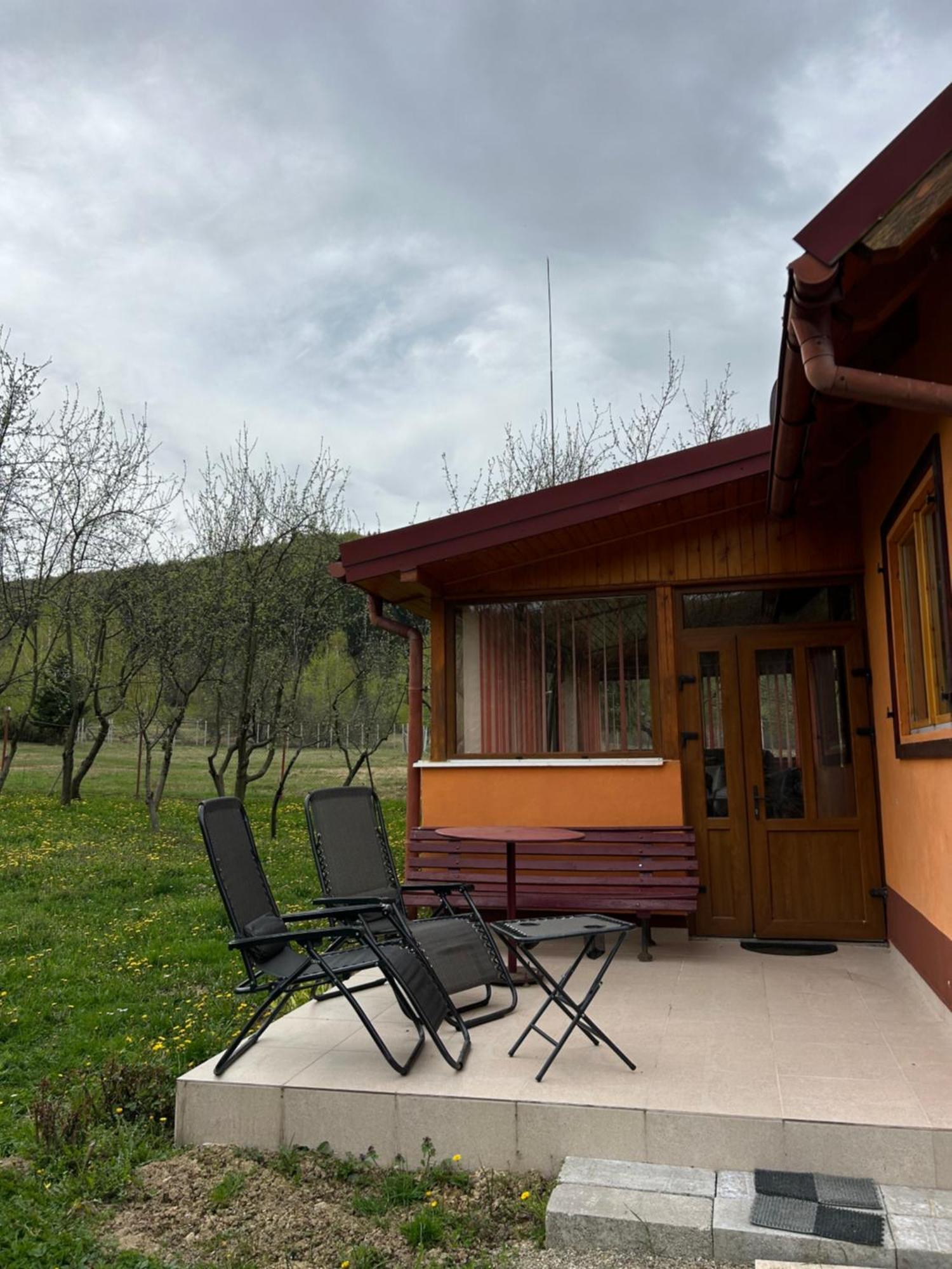 Ab'S Rustic Cabin Dejani Exterior photo